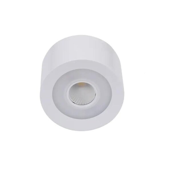 LEDlumi 24V 12W LED Deckenleuchte weiß magnetisch RGBCCT 2700-6000 Kelvin / DA12CTWWS